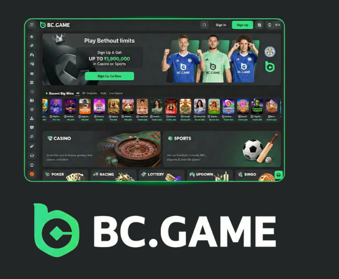BC.Game Argentina Login Your Gateway to Online Gaming -335842729